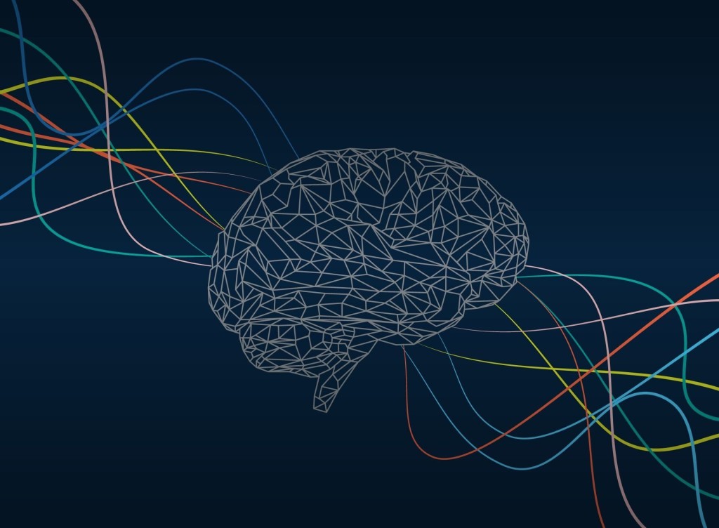 We delve into what is neuromarketing, its definition, interesting research findings, the techniques used, their pros and cons, courses, books and everything about this technique.