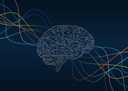We delve into what is neuromarketing, its definition, interesting research findings, the techniques used, their pros and cons, courses, books and everything about this technique.