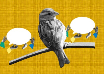 DeepMind Sparrow chatbot explained