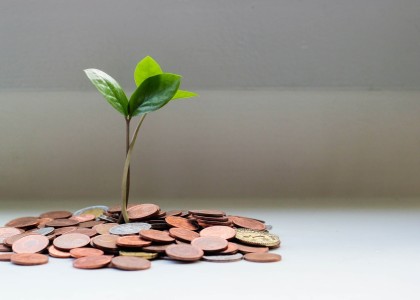 Increasing your reach and brand awareness are necessities in today's hyper-competitive market and MDF marketing funds are your best bet when it comes to it....